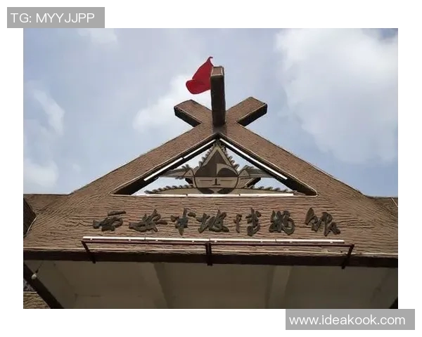 深圳排球队在联合会杯中的蜕变与新篇章探索之旅 深圳排球队在联合会杯中的蜕变与新篇章探索之旅