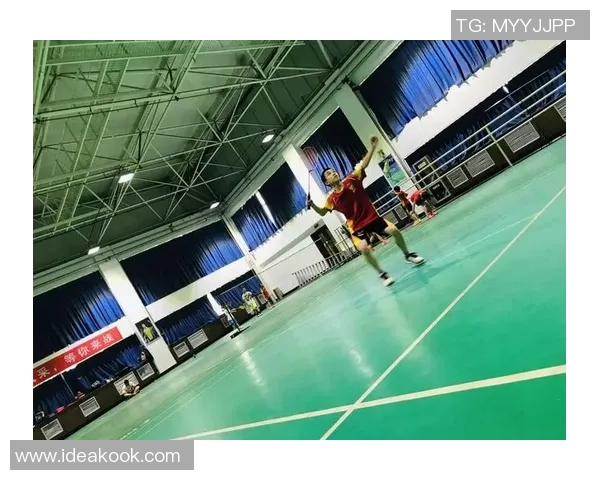 成都羽毛球队挑战赛个人能力分析与表现评估