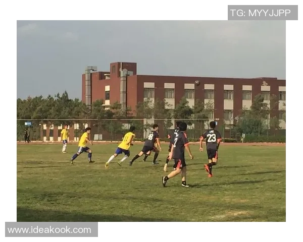 昆明足球明星全景盘点及其成就与影响力分析 昆明足球明星全景盘点及其成就与影响力分析