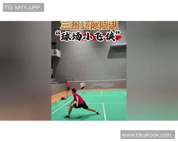 武汉羽毛球队在奥运会上的战术表现分析与点评