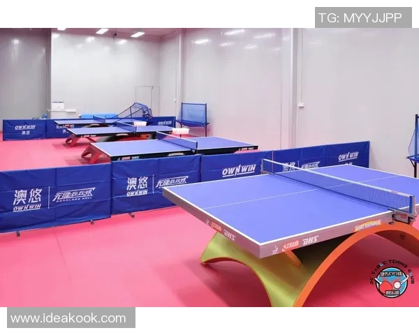 深圳乒乓球队中路突破革新探索新战术提升竞技水平的全景分析 深圳乒乓球队中路突破革新探索新战术提升竞技水平的全景分析