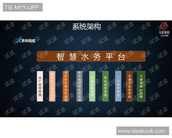 深圳篮球队耐力提升之路探讨与训练策略分析