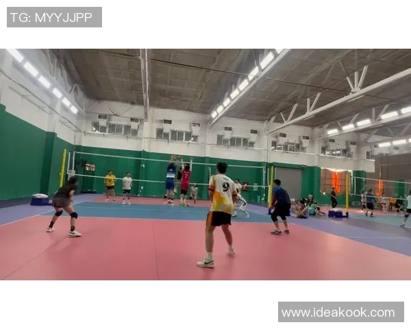 深圳排球队速度之争引发热议球迷观点各异分析精彩瞬间 深圳排球队速度之争引发热议球迷观点各异分析精彩瞬间